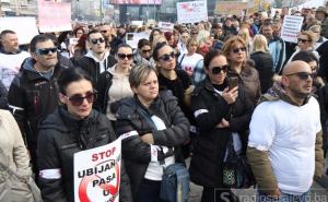 Ispred Parlamenta BiH održani protesti: Hitno obustaviti ubijanja pasa 